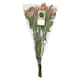 image 1 of Tesco Alstroemeria Bouquet