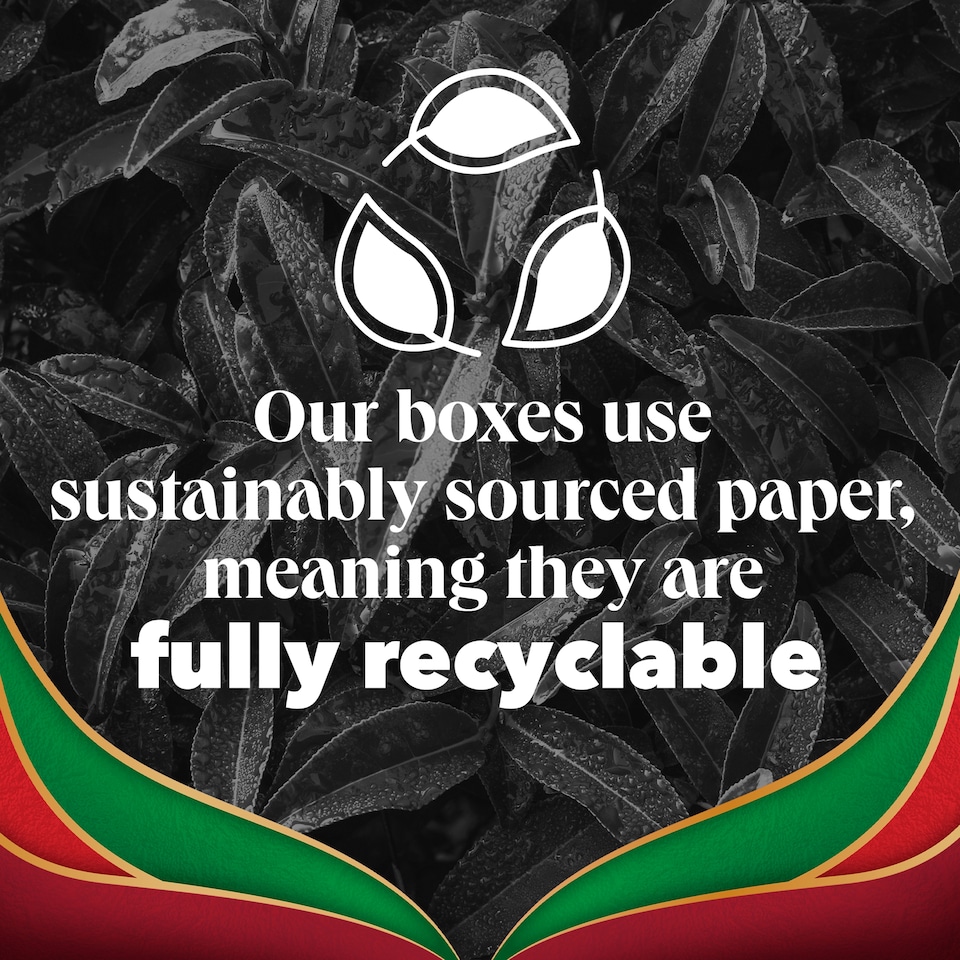 image 1 of PG Tips English Breakfast Speciality Tea 70 Tea Bags 175g