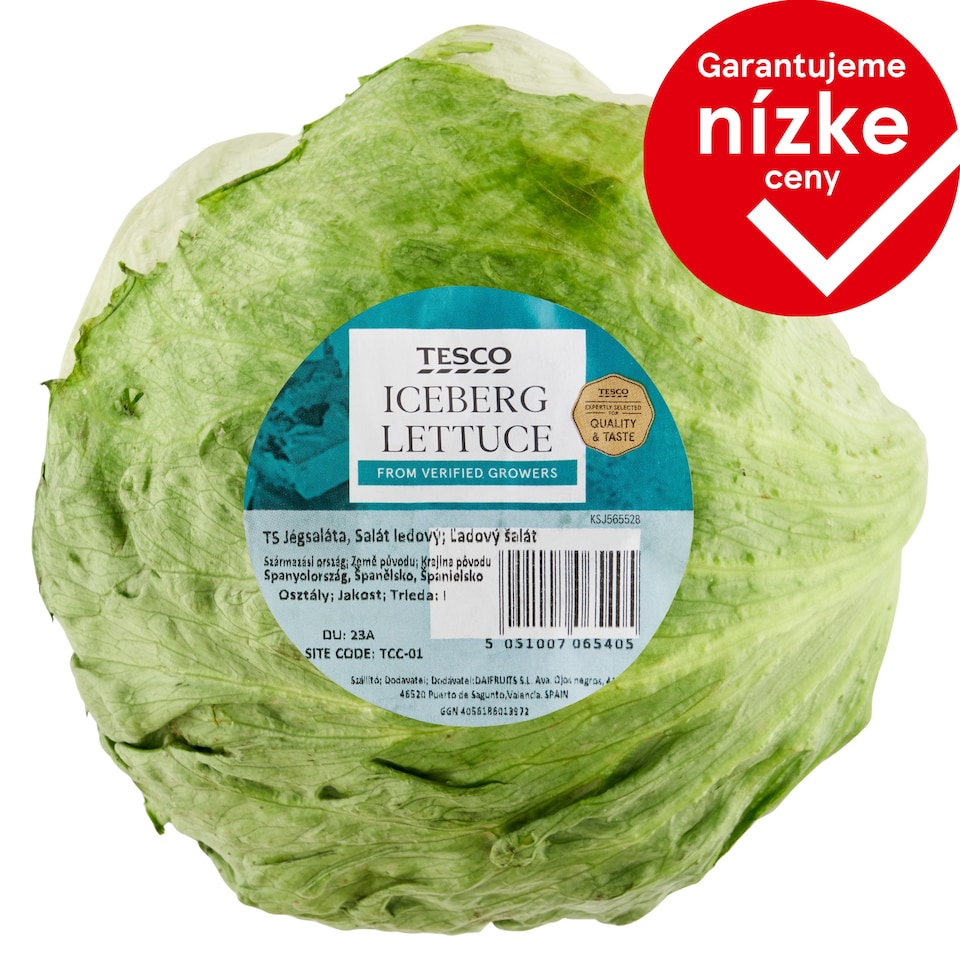 Tesco Iceberg Lettuce pc