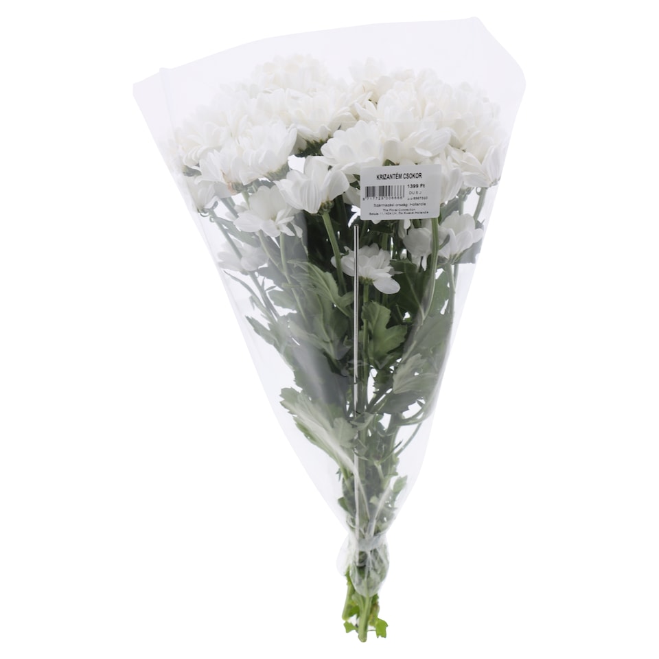 image 1 of The Floral Connection Chrysanthemums Bouquet