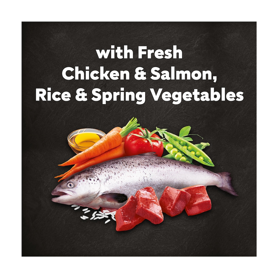 image 1 of Cesar Dog Dry Adult Chicken, Salmon & Vegetables 1.4kg