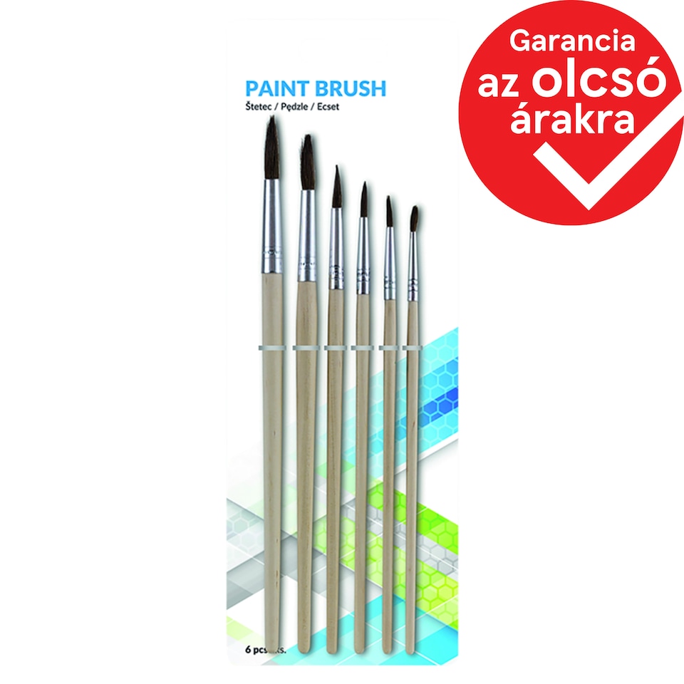 Paint Brush 6 pcs