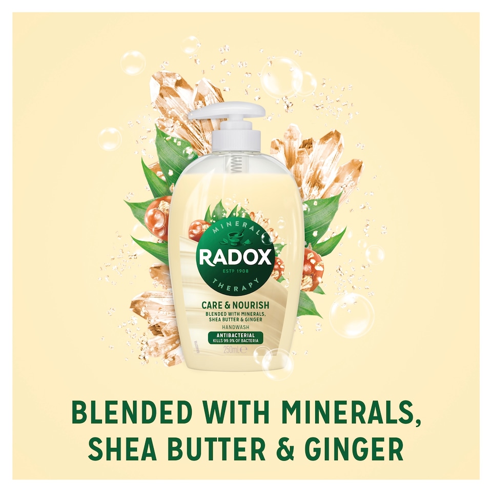 image 1 of Radox Care & Nourish Liquid Soap Antibacterial Handwash 250ml