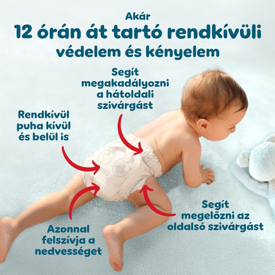 Pampers Premium Care Bugyipelenka, Méret: 4, 58 db Pelenka, 9kg-15kg  1. kép