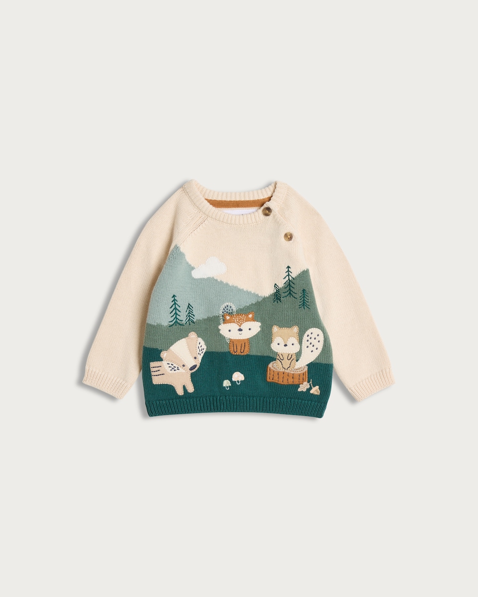 image 1 of F&F Baby Pure Cotton Woodland Animal Jumper in Green