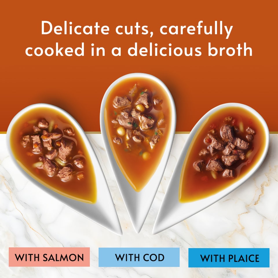 image 1 of GOURMET Soup Royale with Salmon, Cod & Plaice Wet Cat Food 6x45g