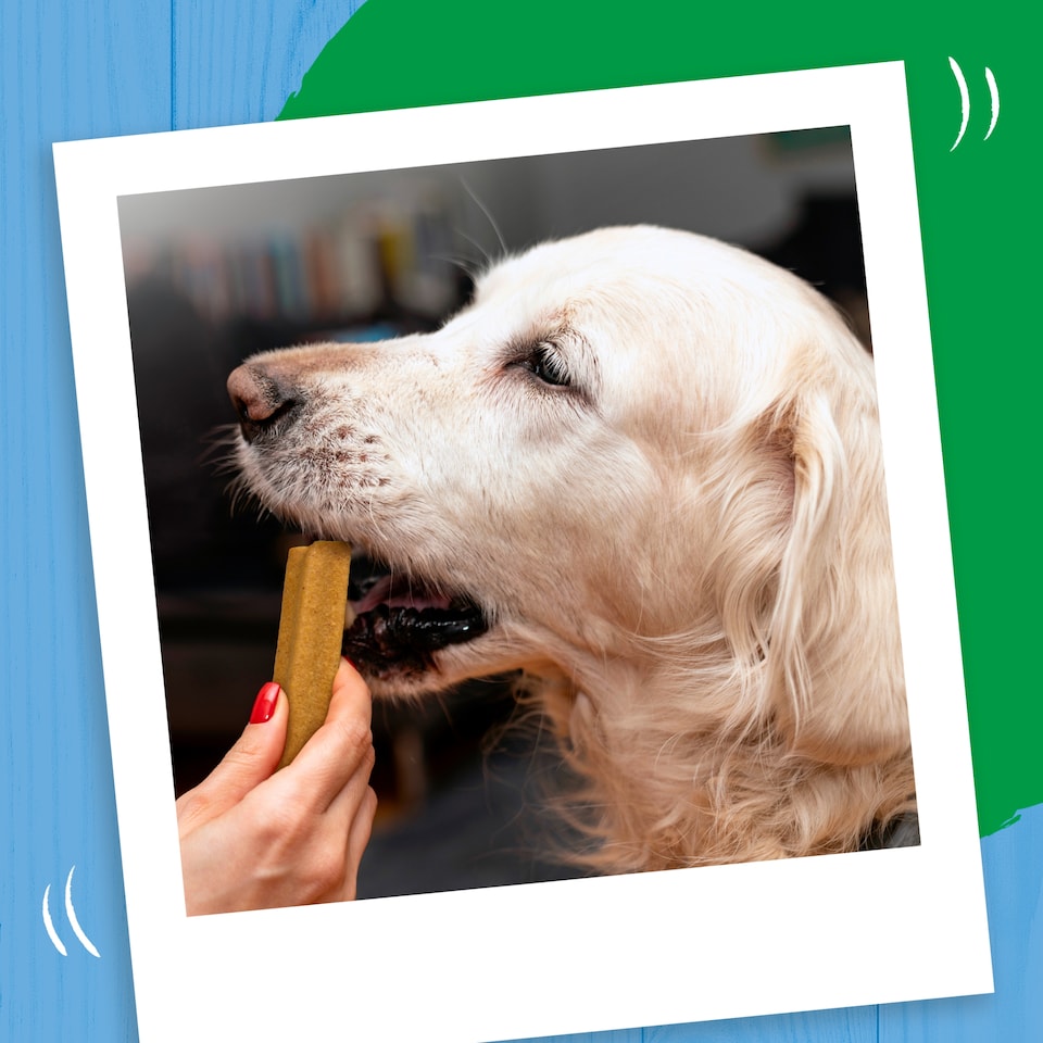 image 1 of BAKERS Joint Delicious Large Chicken Dog Chews 240g