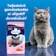 PreVital száraz macskaeledel, macskatáp idős macskáknak lazaccal 1,4 kg  4. kép