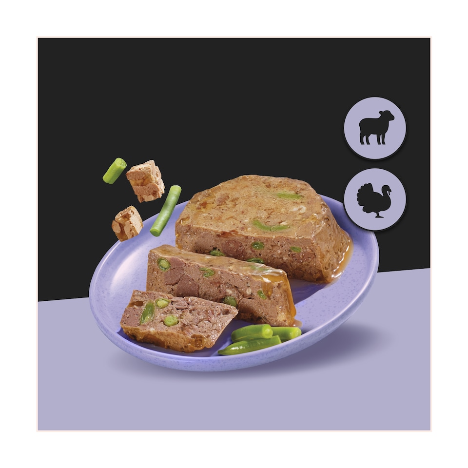 image 1 of Cesar Gnd Terrine Lamb & Turkey Green Beans 150G