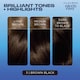 image 3 of Clairol Nice ‘N Easy Brown Black 3 Hair Dye