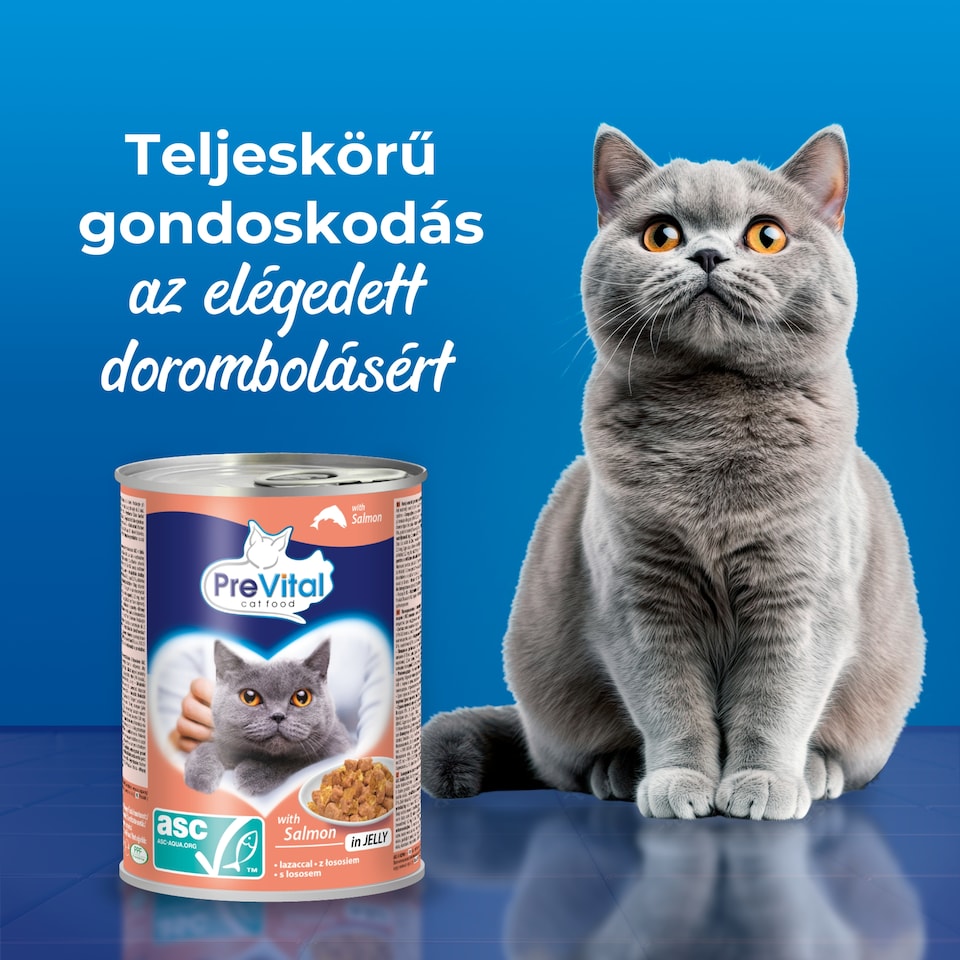 PreVital nedves macskaeledel, macskatáp felnőtt macskáknak ASC lazaccal zselében konzerv 415 g  1. kép