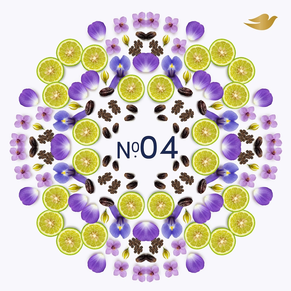 image 1 of Dove No4 Violet & Tonka Bean 72h Antiperspirant Deodorant Refillable Kit 35ml