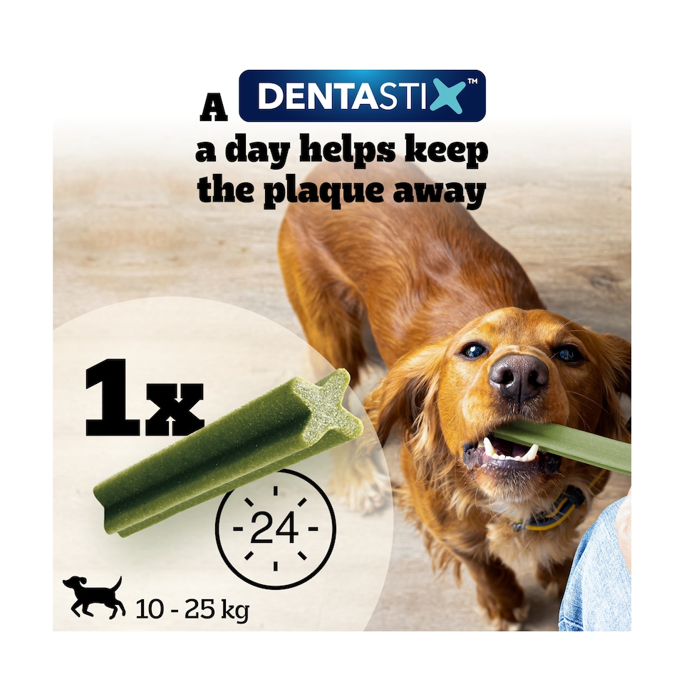 image 1 of Pedigree Dentastix Fresh Medium Dog Treats 5 Dental Sticks