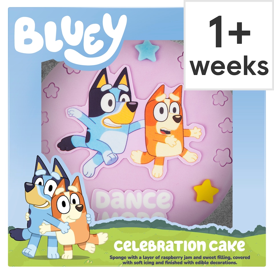 Bluey Celebration Cake with Raspberry Jam