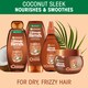 image 2 of Garnier Ultimate Blends Coconut Oil Shampoo Frizzy Hair 360Ml