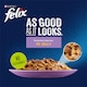 image 3 of Purina Felix Meat & Fish Cat Food 80X100g
