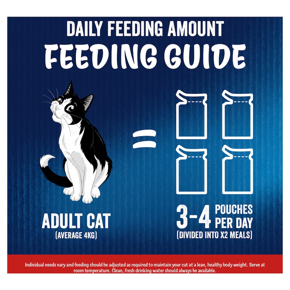 image 1 of Felix As Good As it Looks Meaty Selection in Jelly Wet Cat Food 12x85g