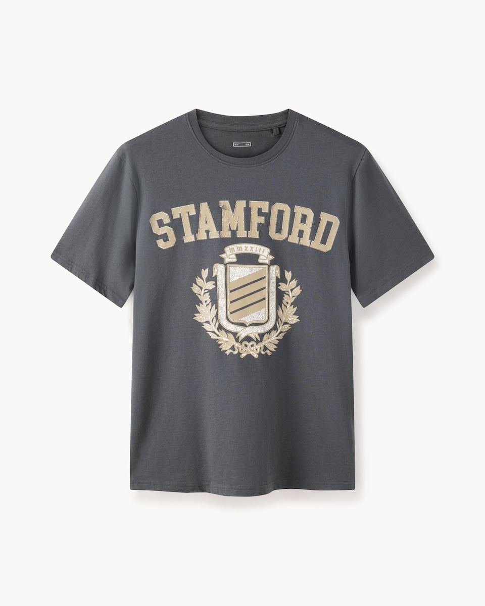 image 1 of F&F Pure Cotton Stamford T-Shirt in Stone
