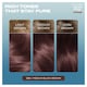 image 2 of Clairol Nice'N Easy Crème Pure Brunettes Permanent Hair Dye Kit - 5BB Medium Blush Brown