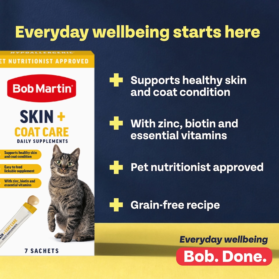 image 1 of Bob Martin Skin + Coat care daily supplement 7 sachets 105g 