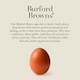 image 3 of Clarence Court Burford Brown Large Free Range Eggs 6 Pack