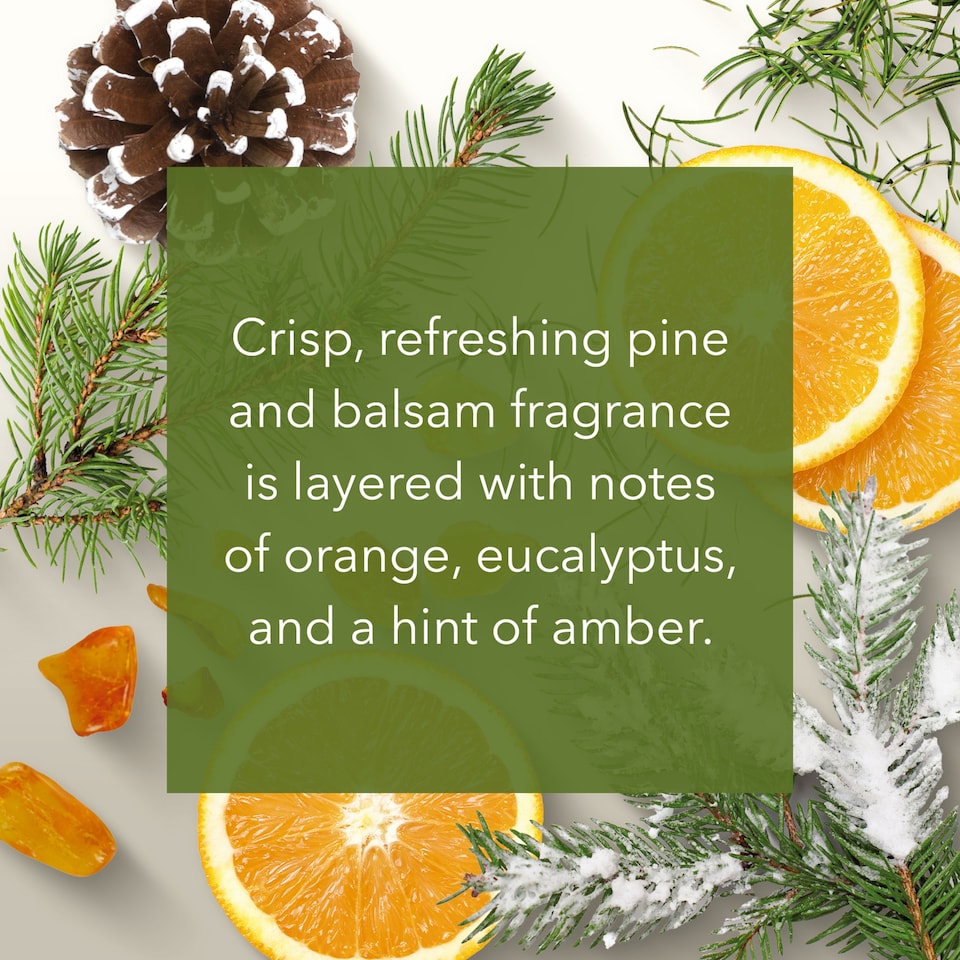 image 1 of Yankee Frosted Pine Candle 200G