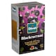 image 2 of Dilmah Black Tea Filter with Blackcurrant Aroma and Ceylon Black Tea Aromas 20 Tea Bags 30 g