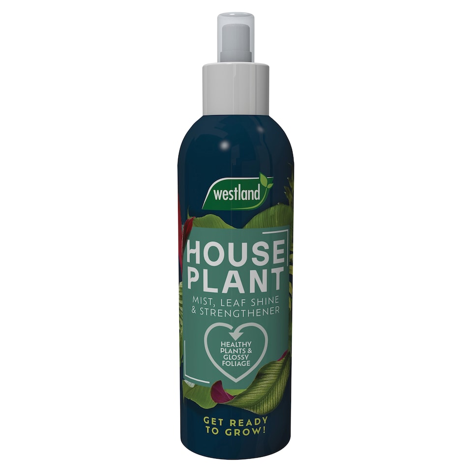 Westland Houseplant Mist & Leaf Shine Spray 250ml