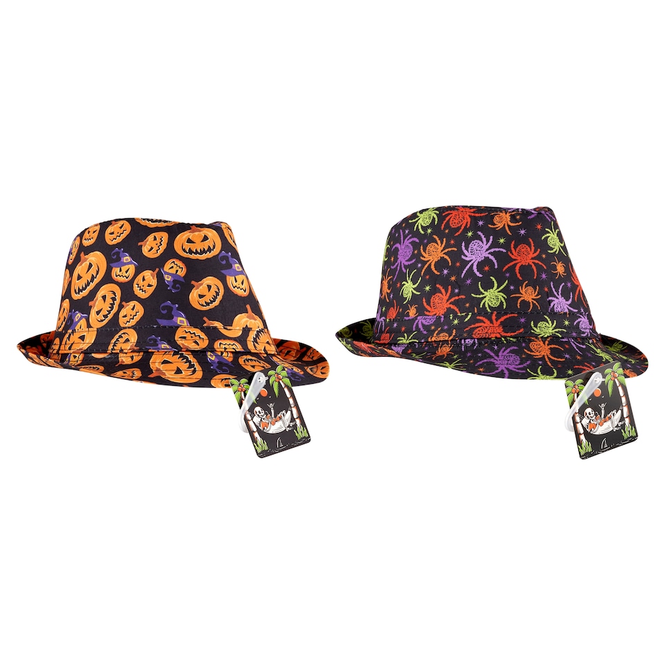Fun & Spooky Hat