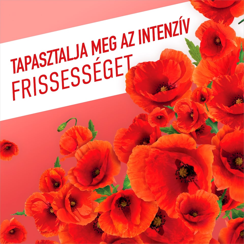 Ajax Fetes des Fleurs Pipacs Piros általános tisztítószer 1000 ml  1. kép