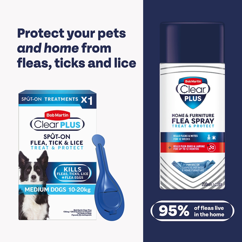 image 1 of Bob Martin Clear Plus Medium Dog 1 Tube