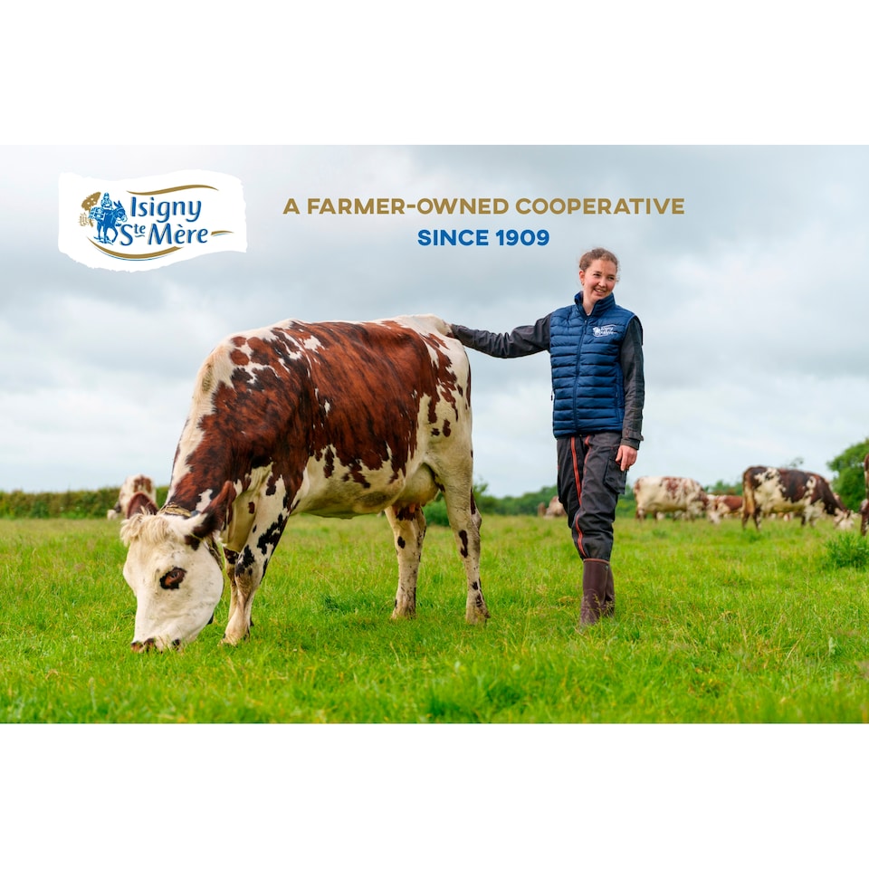 image 1 of Isigny Ste Mere Petit Camembert 150g