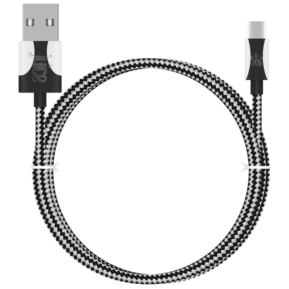 image 1 of Juice Animals Panda 2M Type C Braided