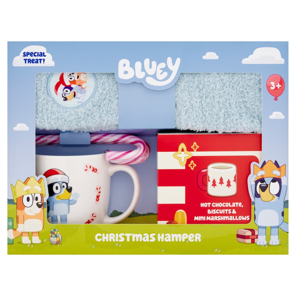 Bluey Christmas Hamper
