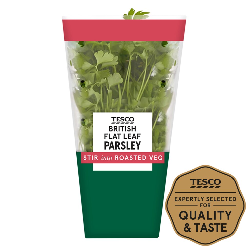 Tesco Flat Leaf Parsley Medium Pot