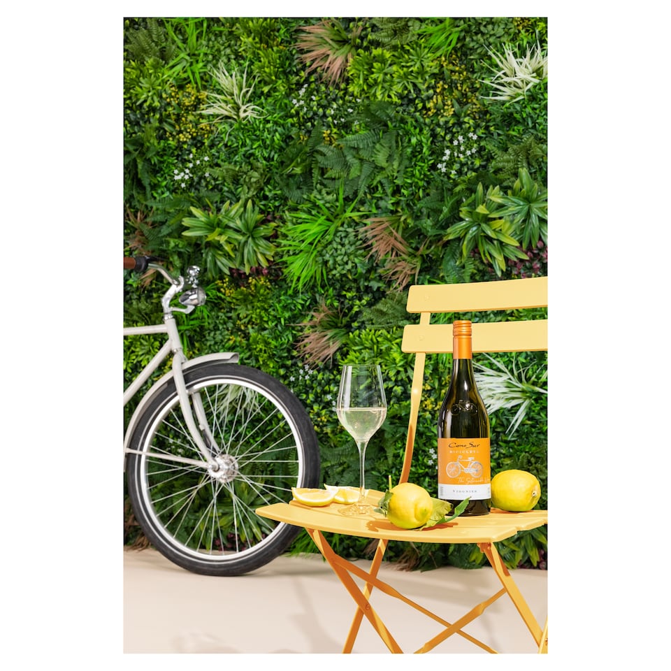 image 1 of Cono Sur Bicicleta Viognier 75Cl