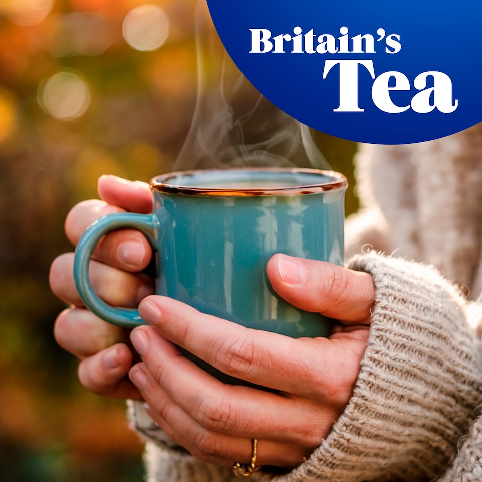 image 1 of Tetley Redbush Vanilla Tea Bags 40 Pack 100g