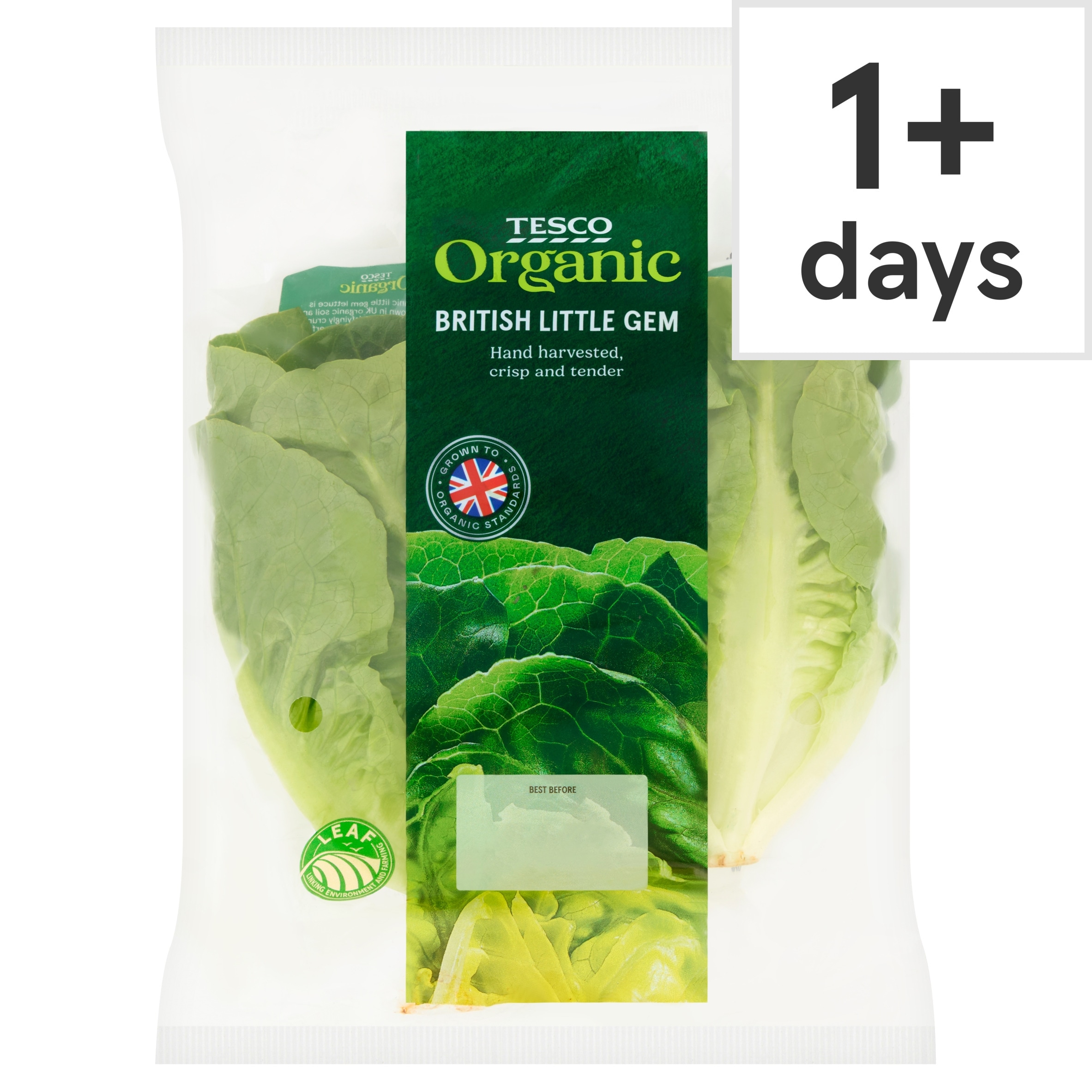 Tesco Organic Little Gem Twin Pack