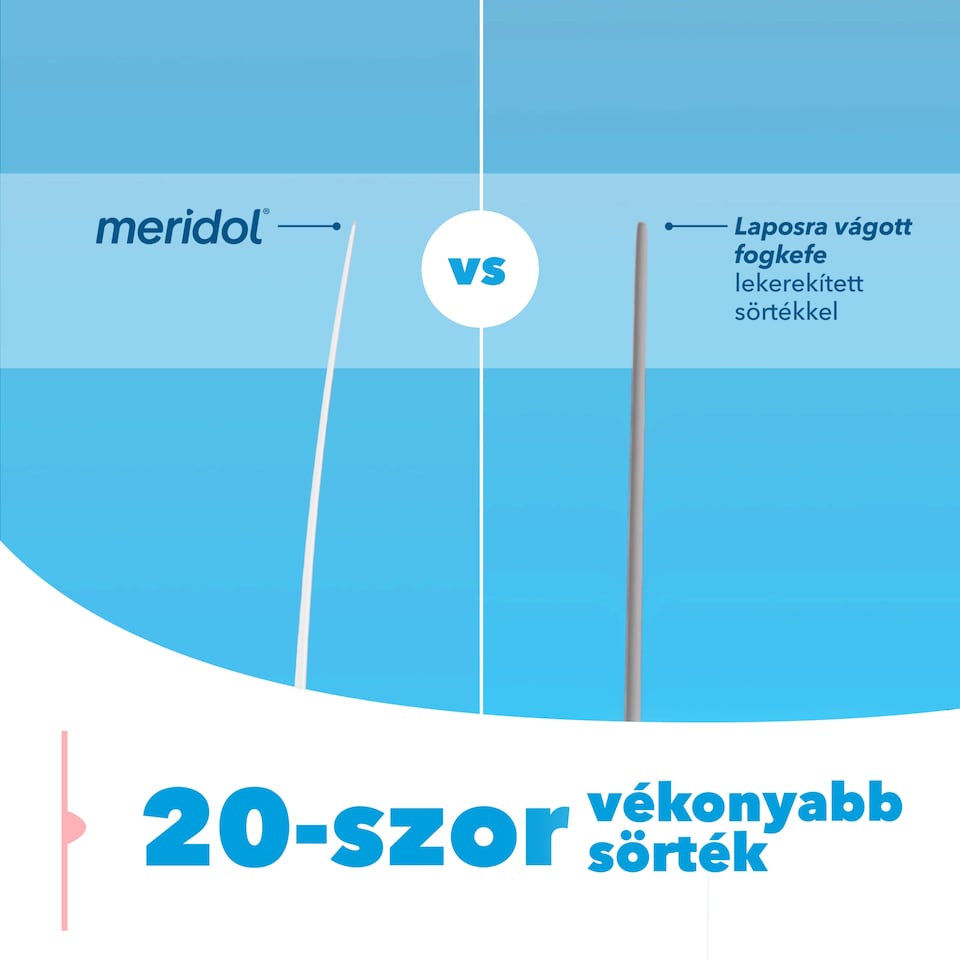 image 1 of meridol Gum Protection Manual Toothbrush 1 pcs