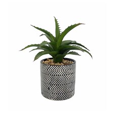Artifloral Aloe In Black & White Pot