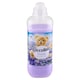 obrázok 2 z Coccolino Fresh & Soft Lavender 966 ml