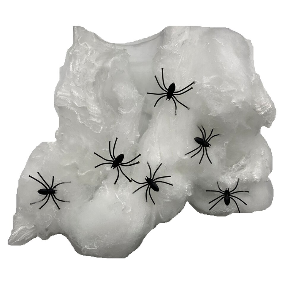 image 1 of Tesco White Spider Web With Spiders
