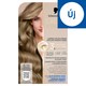 image 1 of Schwarzkopf Creme Supreme Permanent Color Creme 8-16 Cool Ash Light Blonde