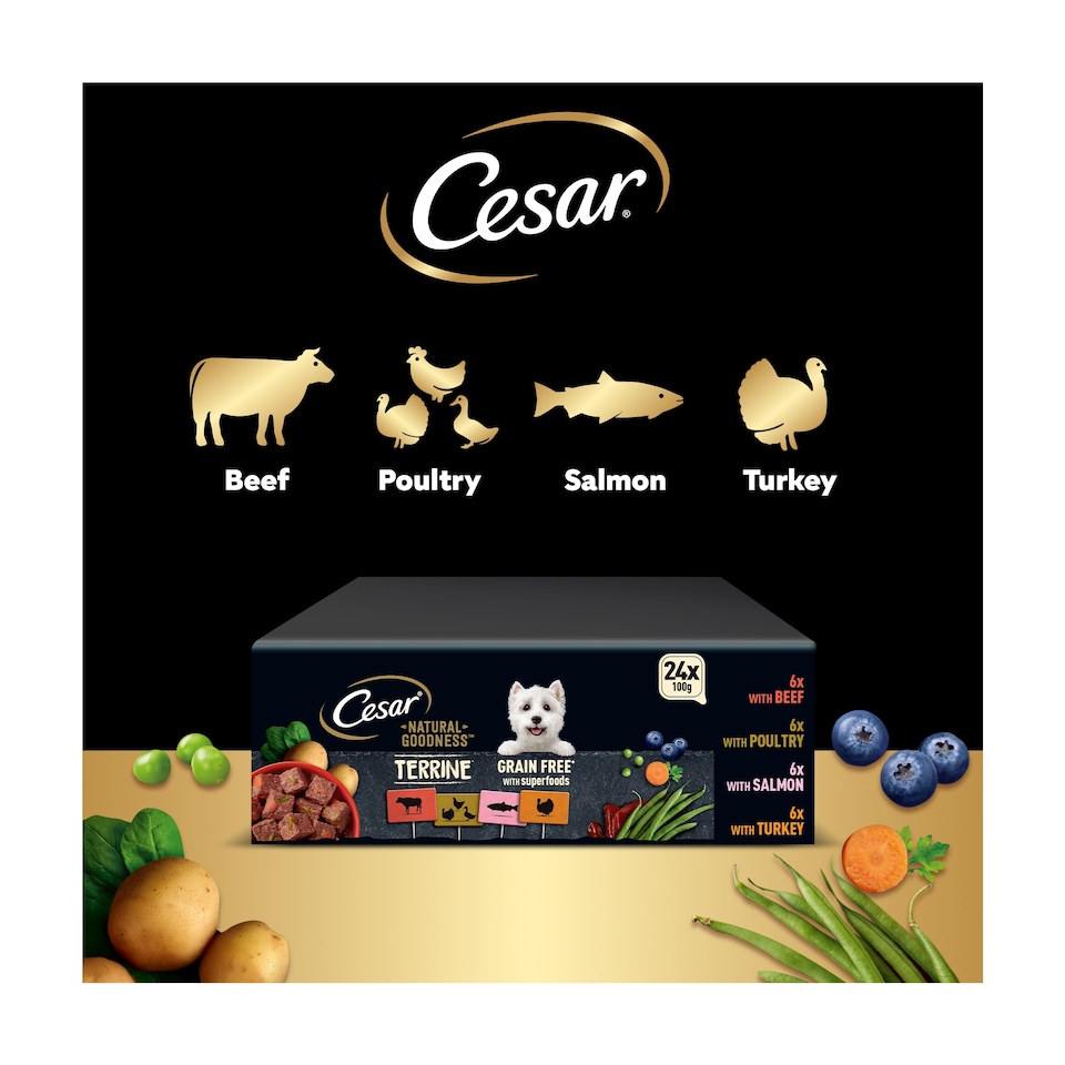 image 1 of Cesar Natural Goodness Grain Free Adult Wet Dog Food Mix Terrine 24x100g Tray