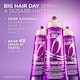 L'Oréal Paris Elseve Big Hair Day dúsító hajápoló 200 ml  5. kép