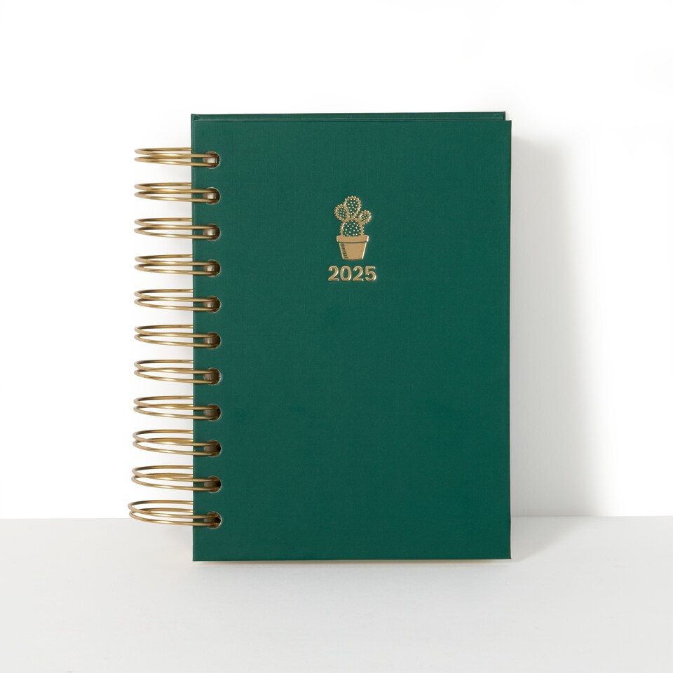 image 1 of Paperchase Icons A6 2025 DTV Diary - Cactus