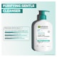 image 2 of Garnier Skin Active Hydrating Deep Cleanser 250ml