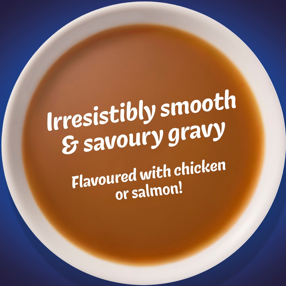 image 1 of FELIX Gravy Time Chicken and Salmon Wet Cat Food 6x40g