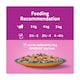 image 5 of Whiskas Duo Surf & Turf Adult Cat Food Pouches in Jelly 12x85g