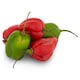 image 2 of Tesco Scotch Bonnet Chillies 50G